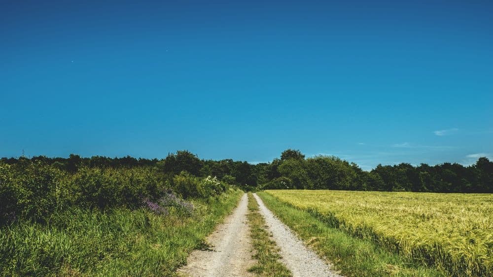 Jogging des pommiers - image