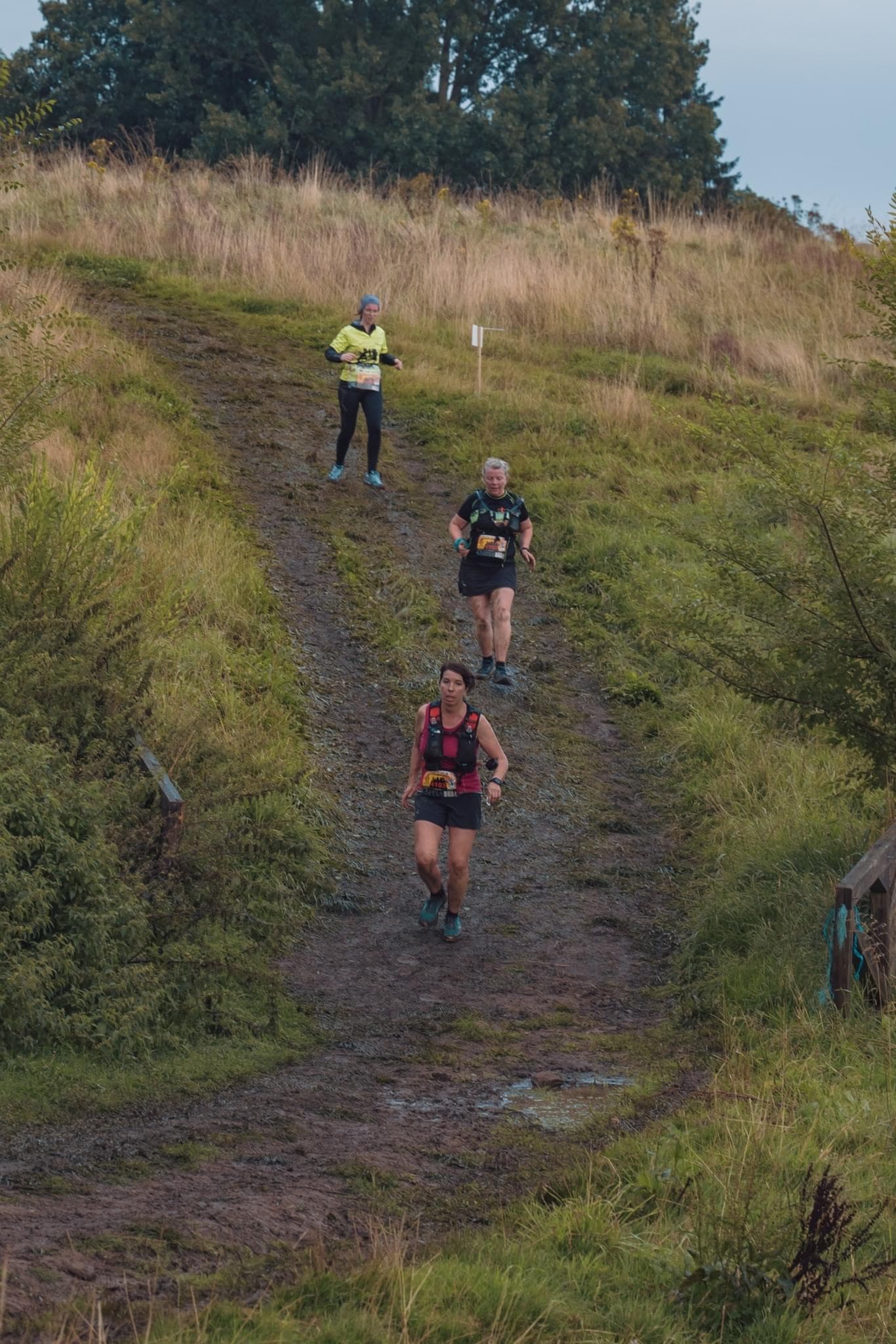 Trail des 3 monts - image