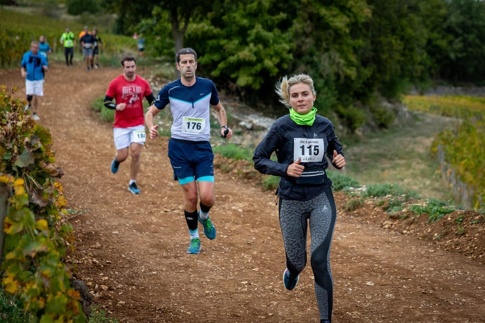 Trail du Montrachet - image