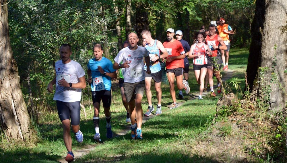 Courses de la rosière - image