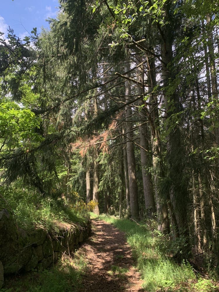 Courir pour des mômes - image