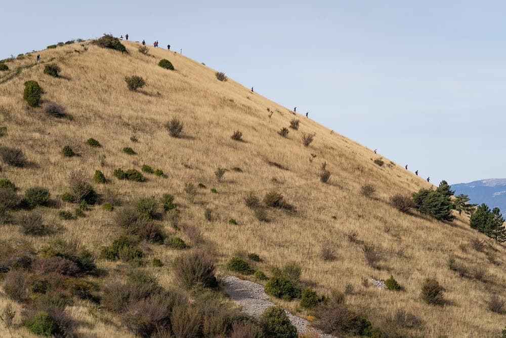 Trail de Digne-les-bains - image