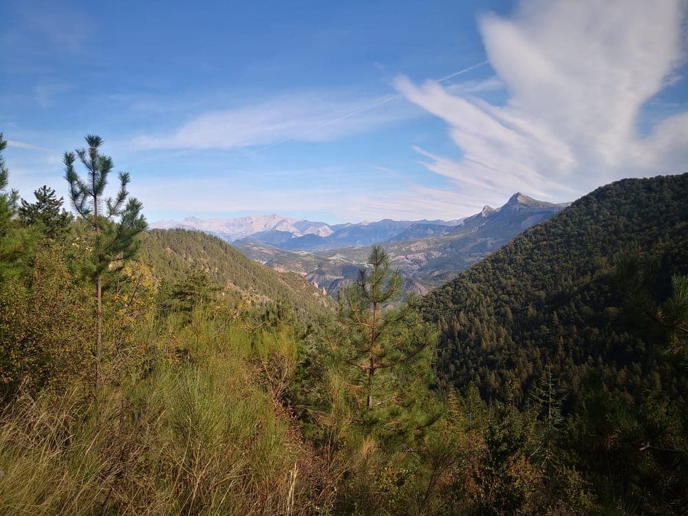 Trail de Digne-les-bains - image