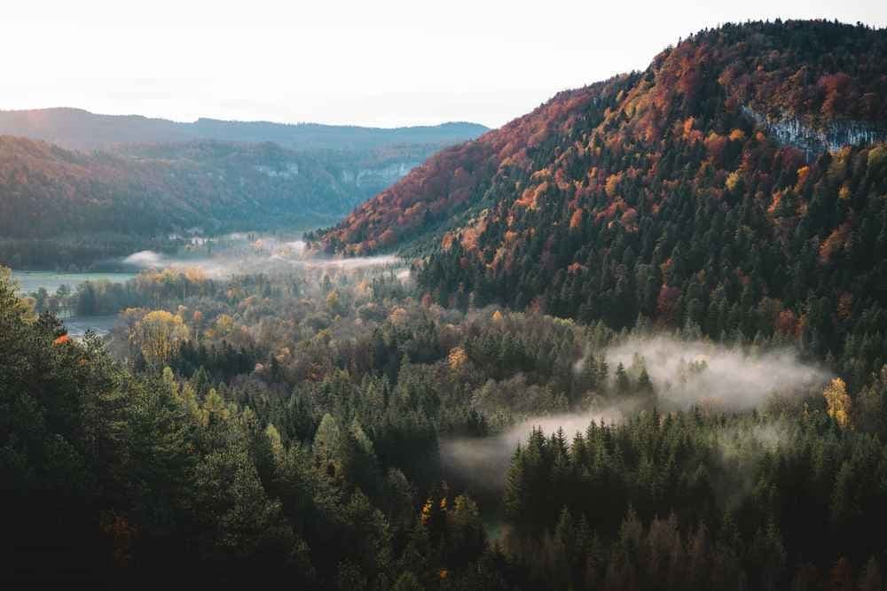 Montée du poupet - image