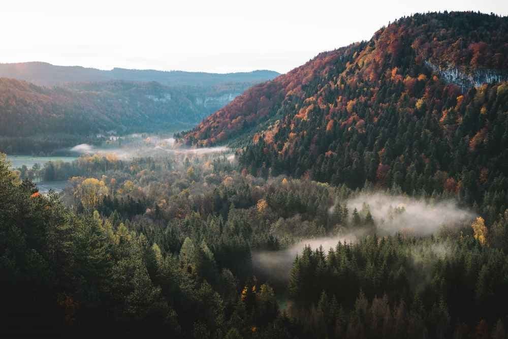 UTTJ - Un tour en terre du Jura - image