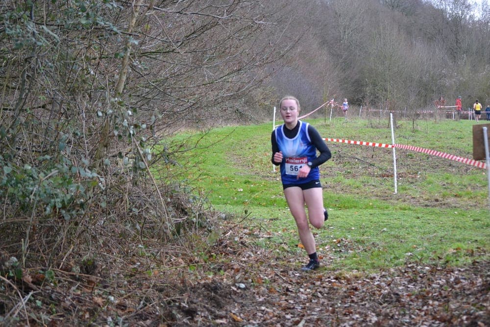 Cross des collines de l'Artois - image