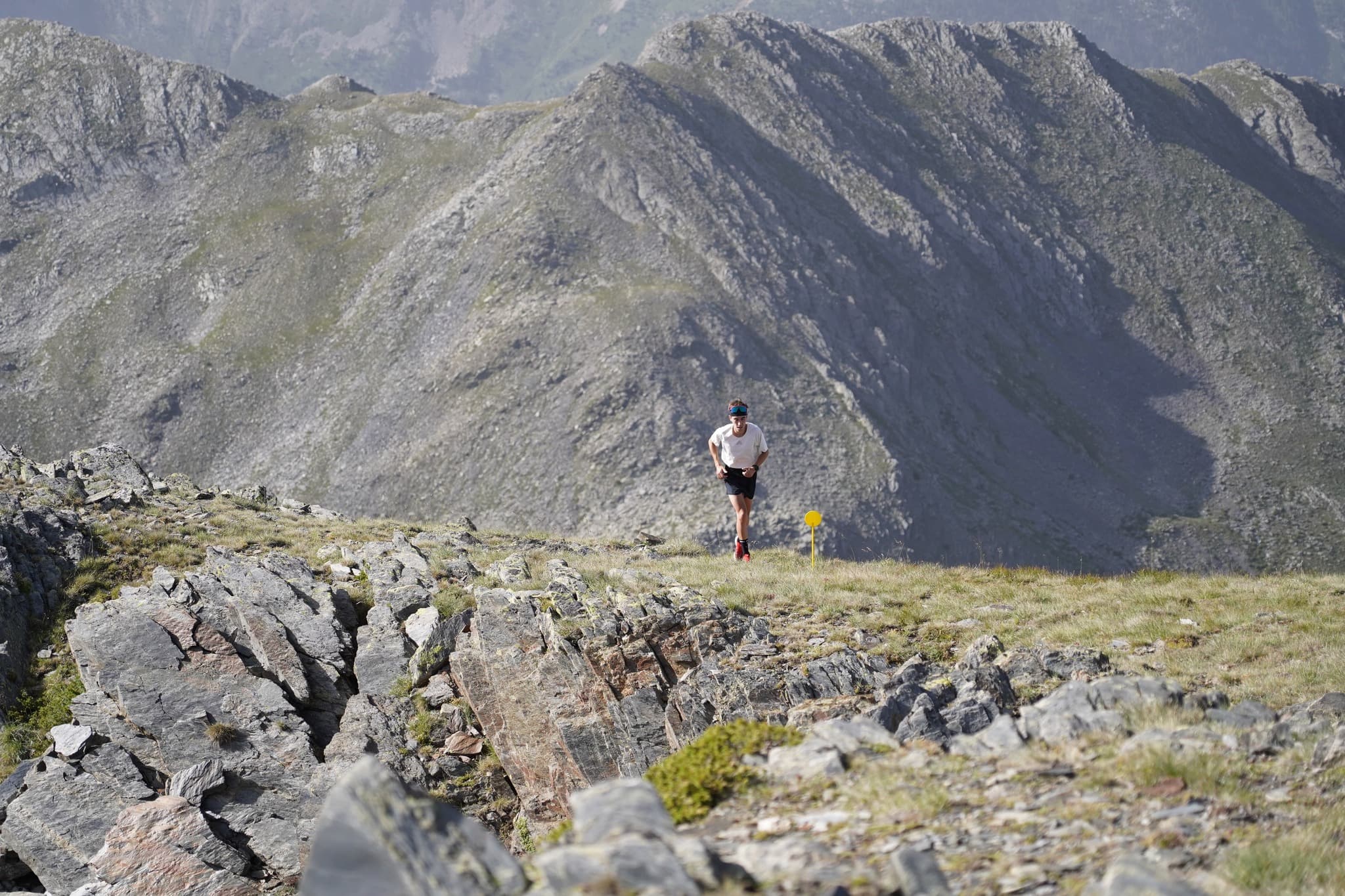 Trail coma d'or - image