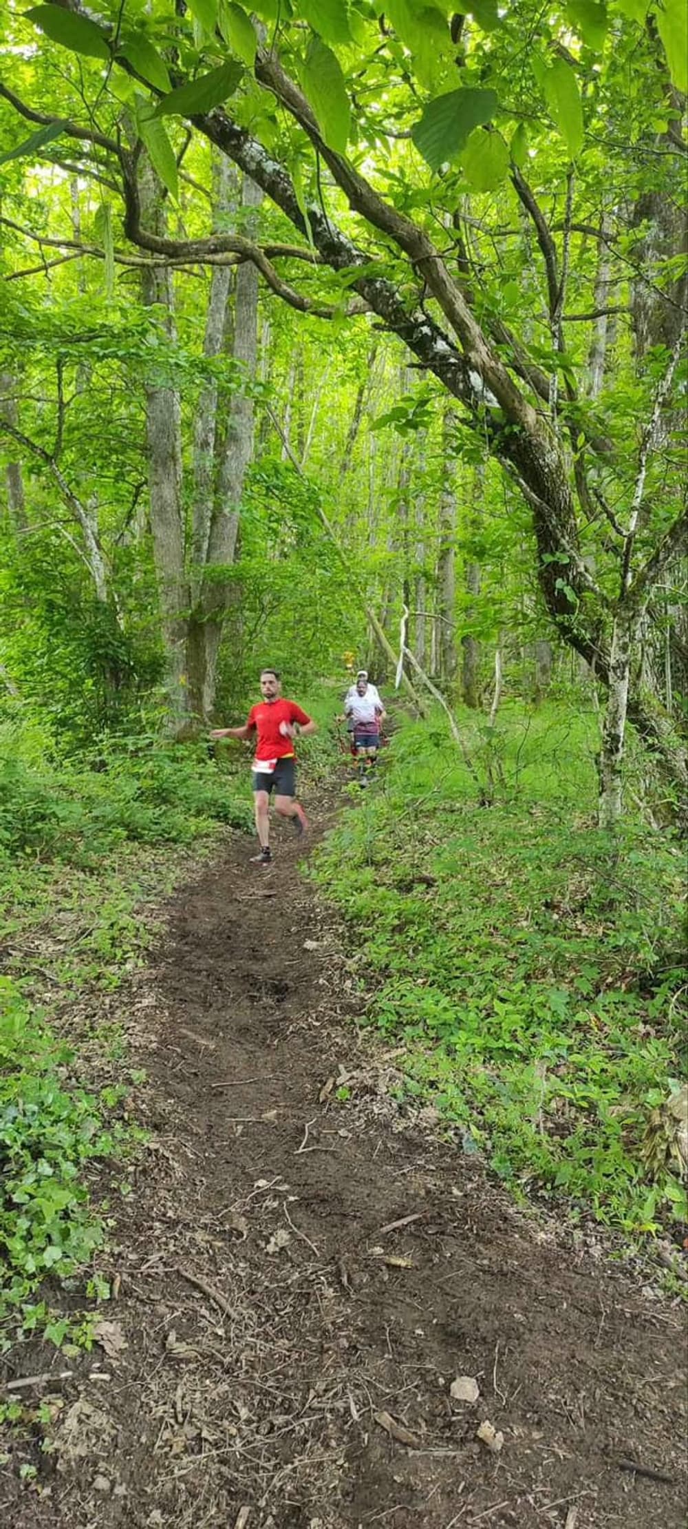 Augusto'trail - image