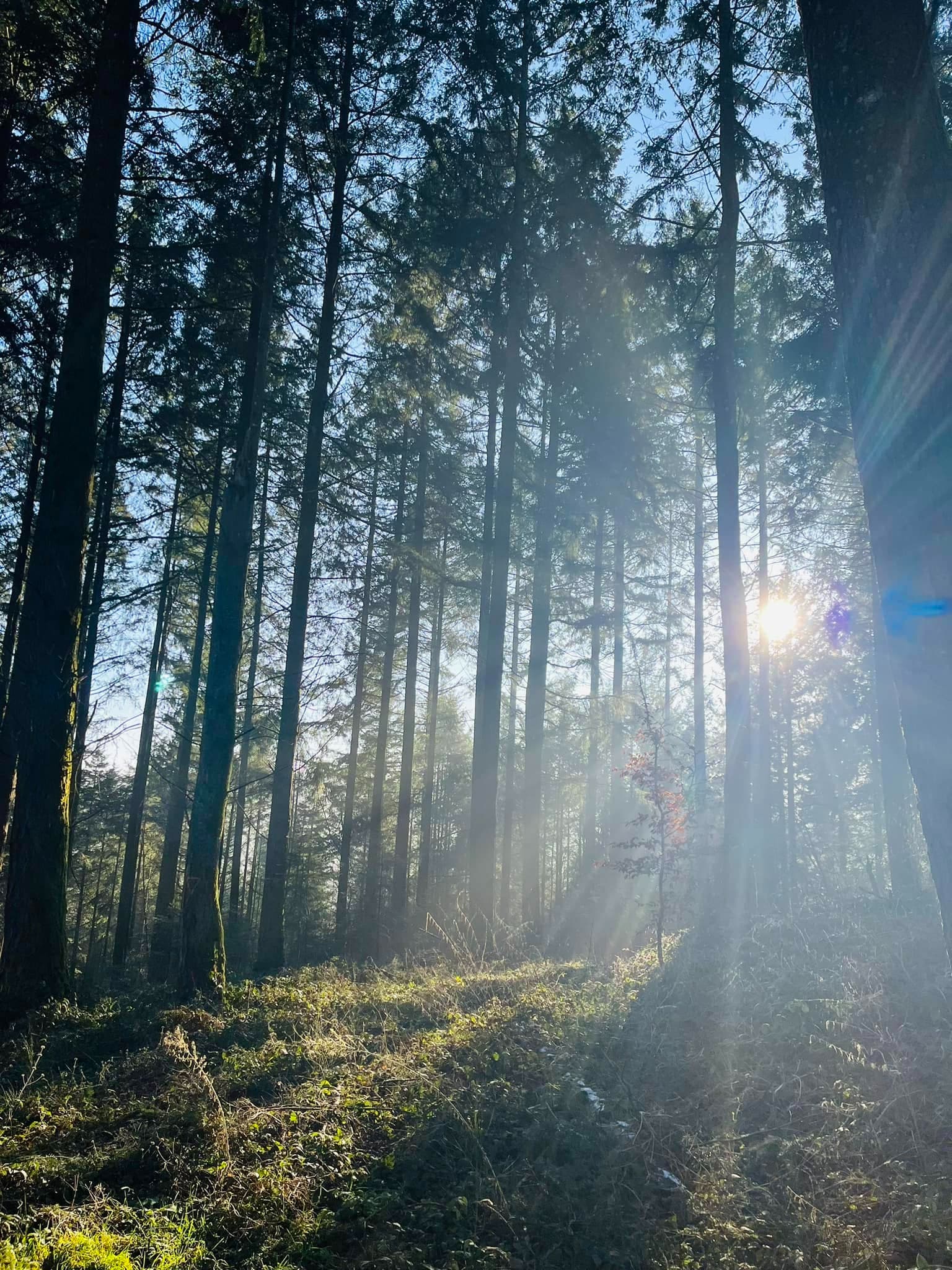 Augusto'trail - image