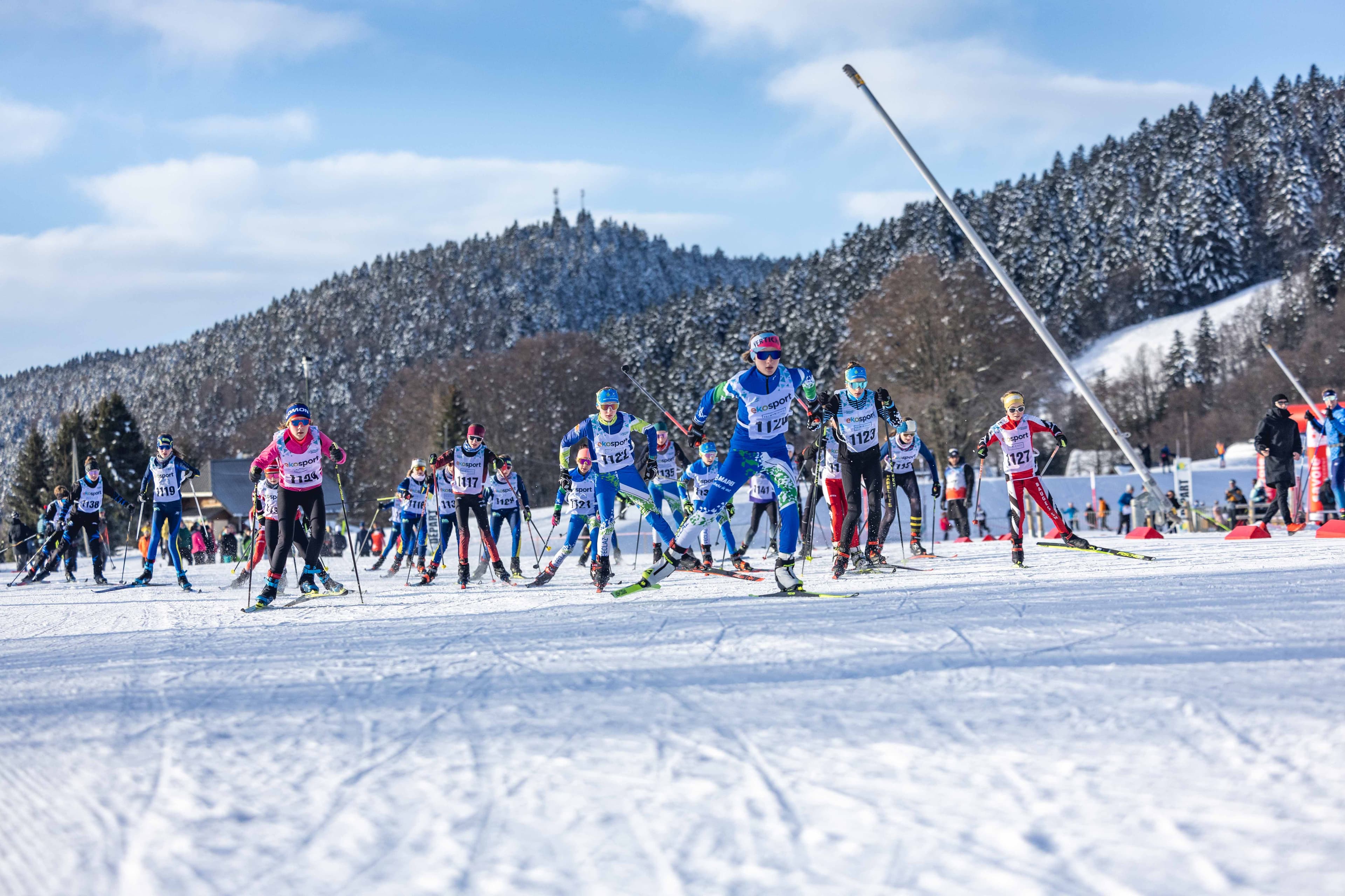 Savoyarde - Marathon Nordique - image