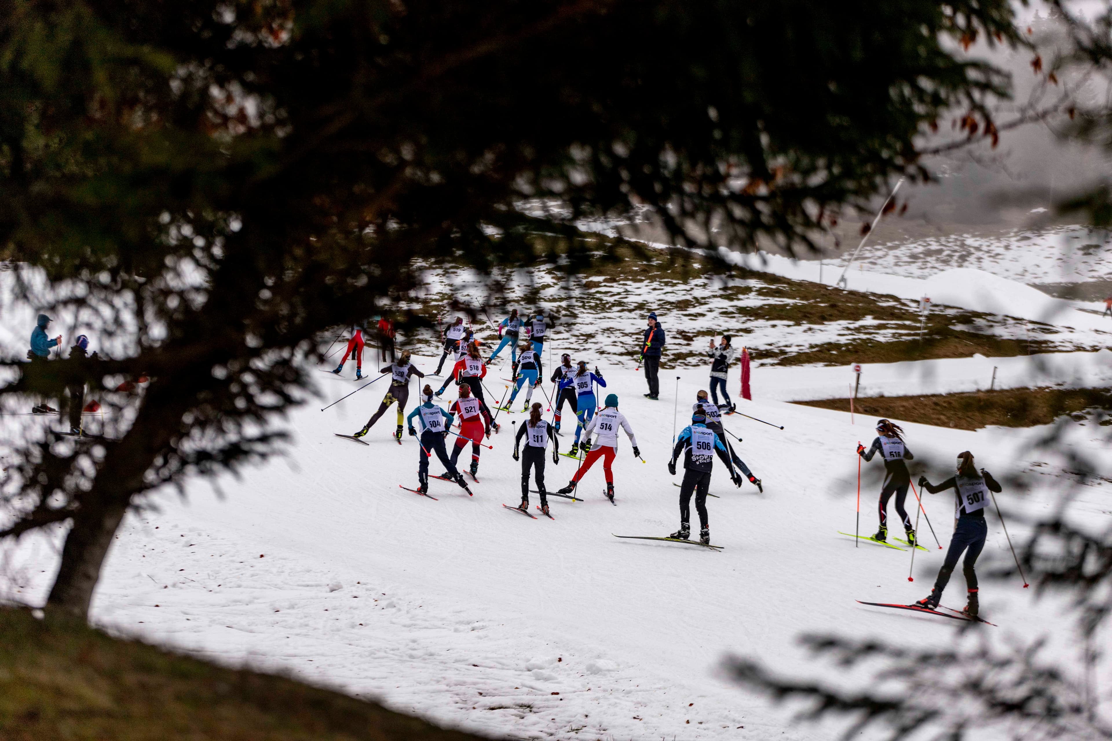 Savoyarde - Ski Nordique - image