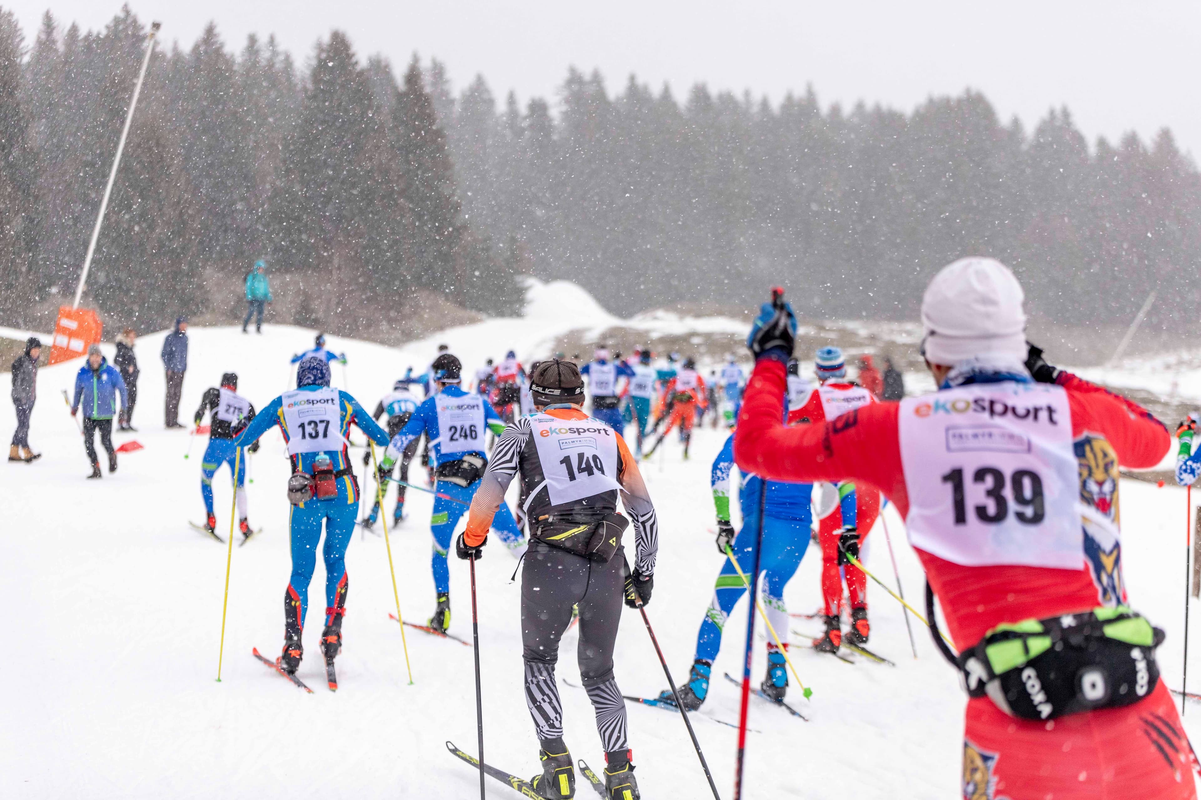 Savoyarde - Ski Nordique - image