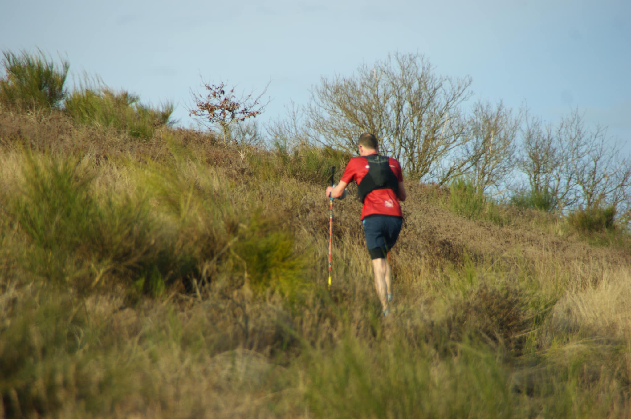 Trail des 3 châteaux - image