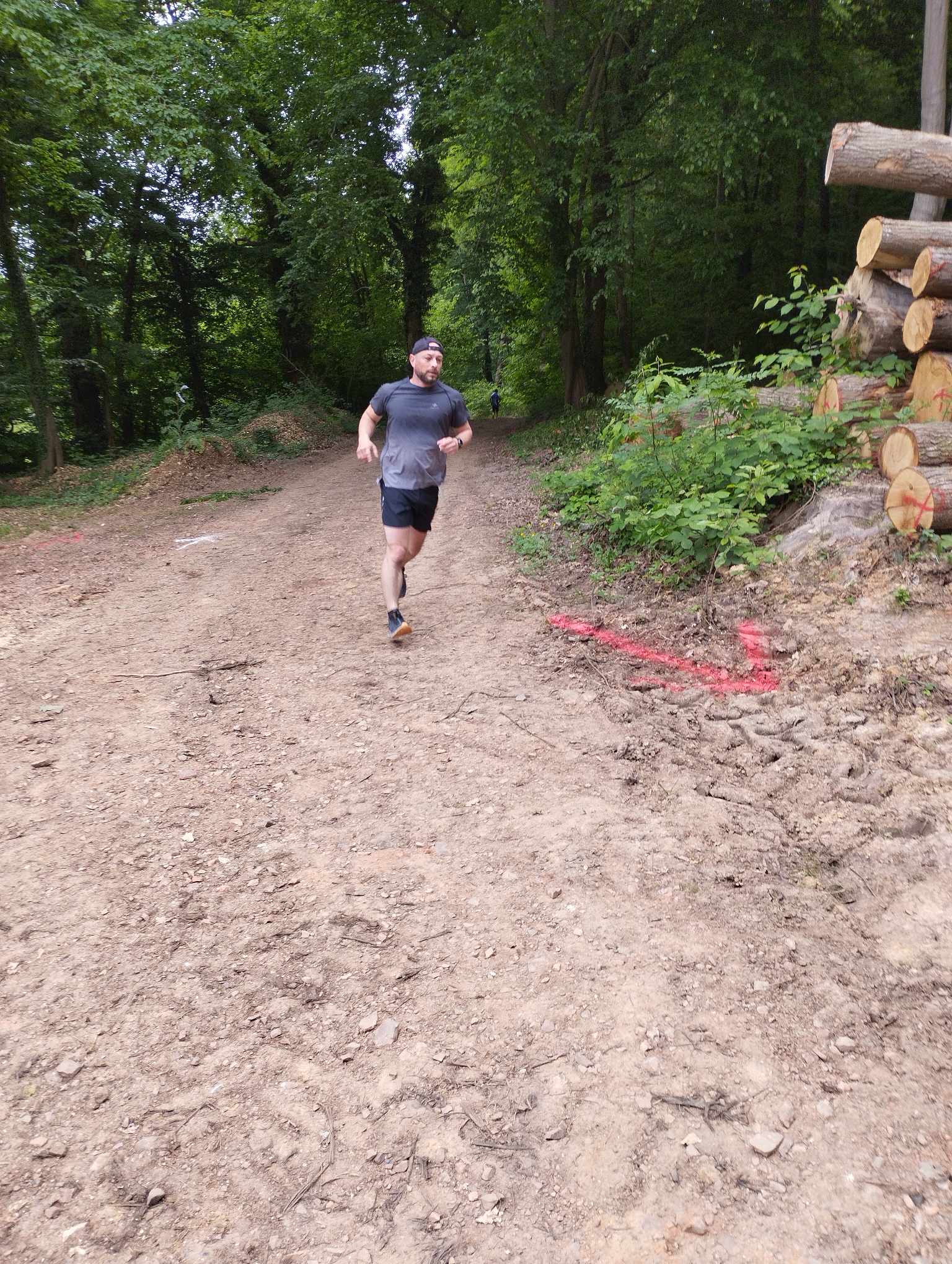 Trail du Chêne fourchu - image