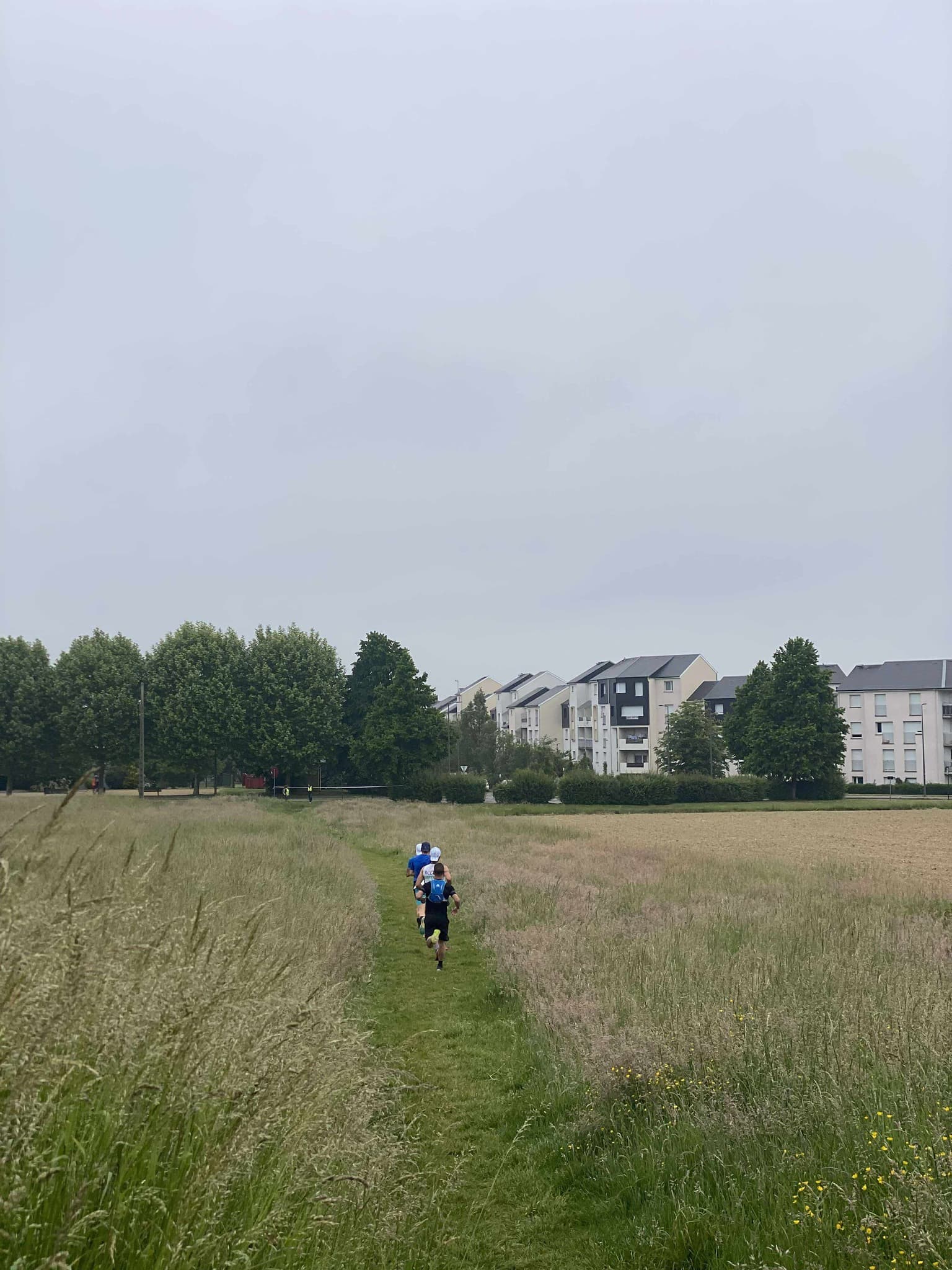 Trail du Chêne fourchu - image