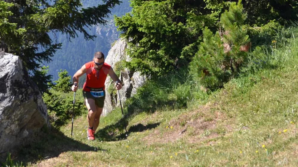 Orelle challenge - image