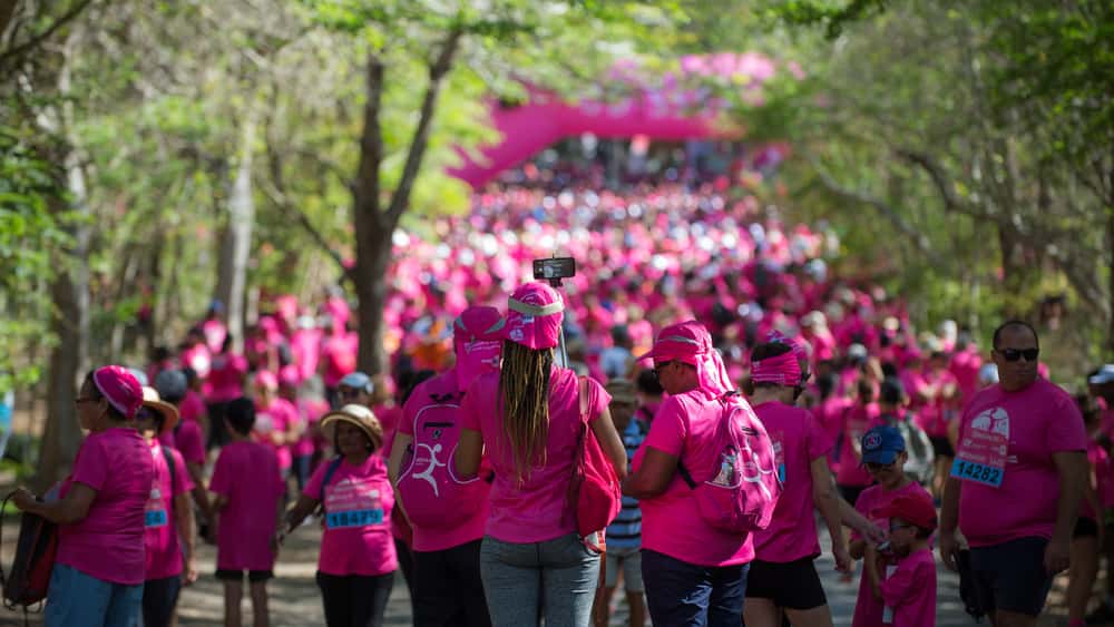 Odysséa Lac du Héron - Villeneuve d'Ascq - image