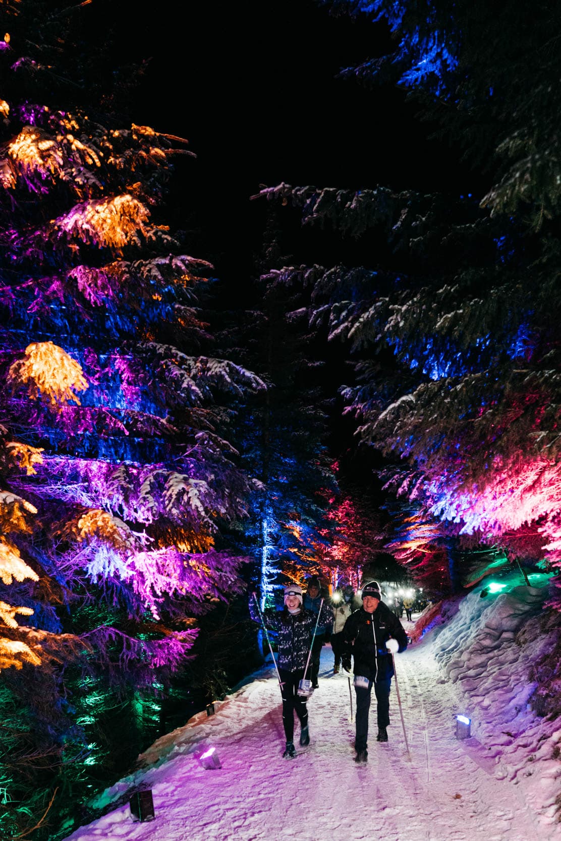 Les lumières de la muzelle - image