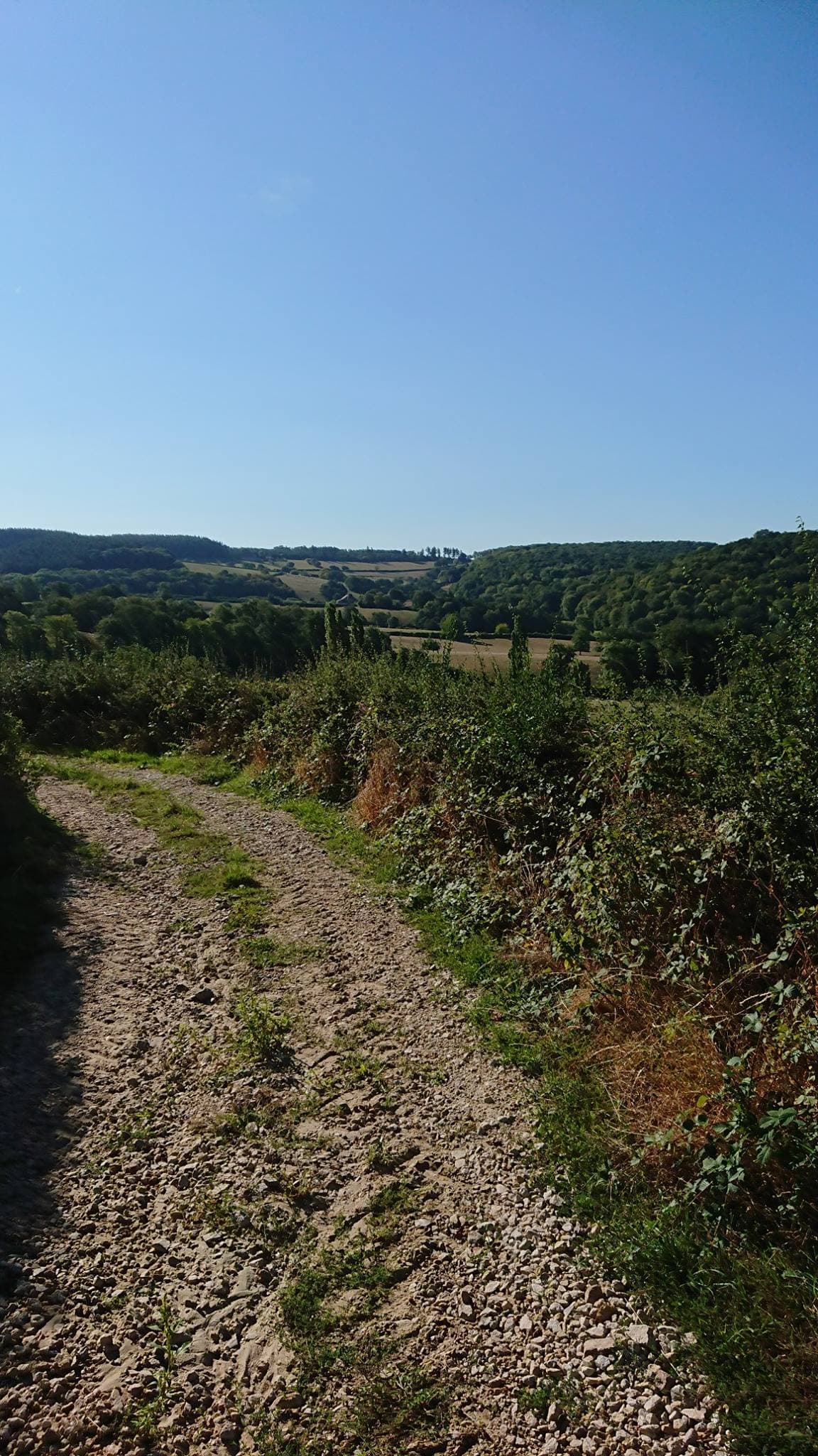 Trail Mary Mont-Saint-Vincent - image