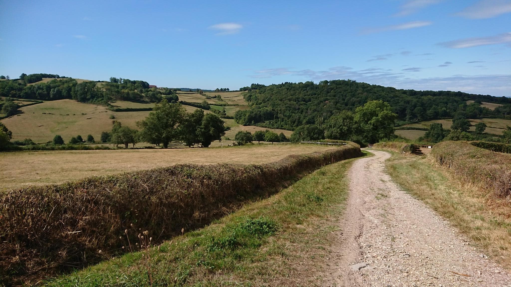 Trail Mary Mont-Saint-Vincent - image