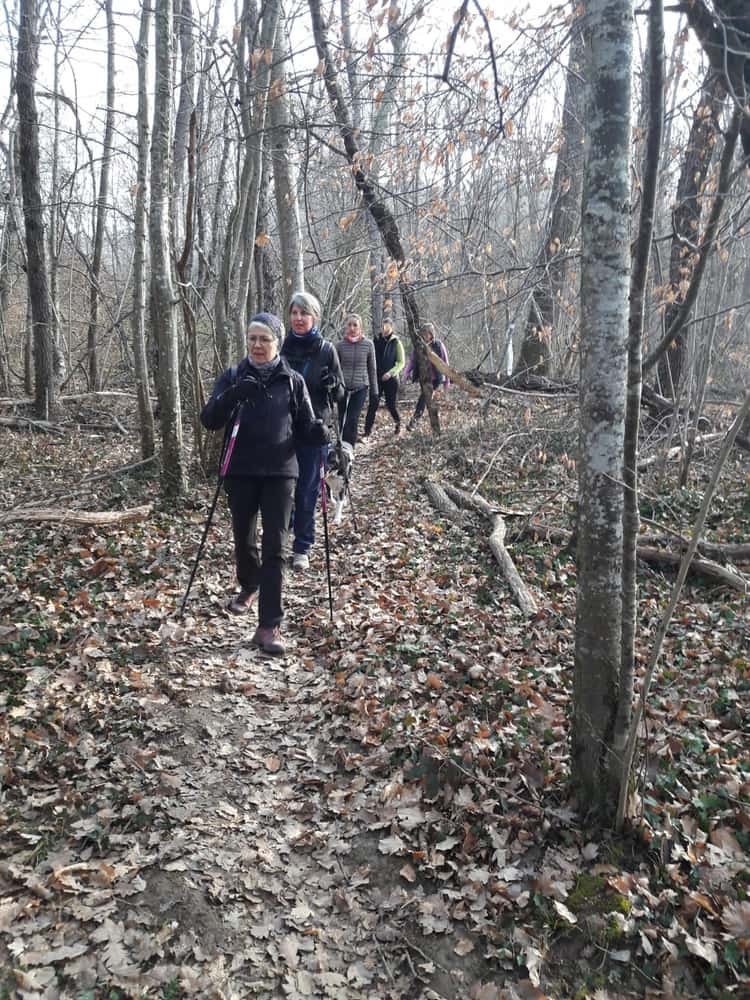 Ronde du Saint-Marcellin - image