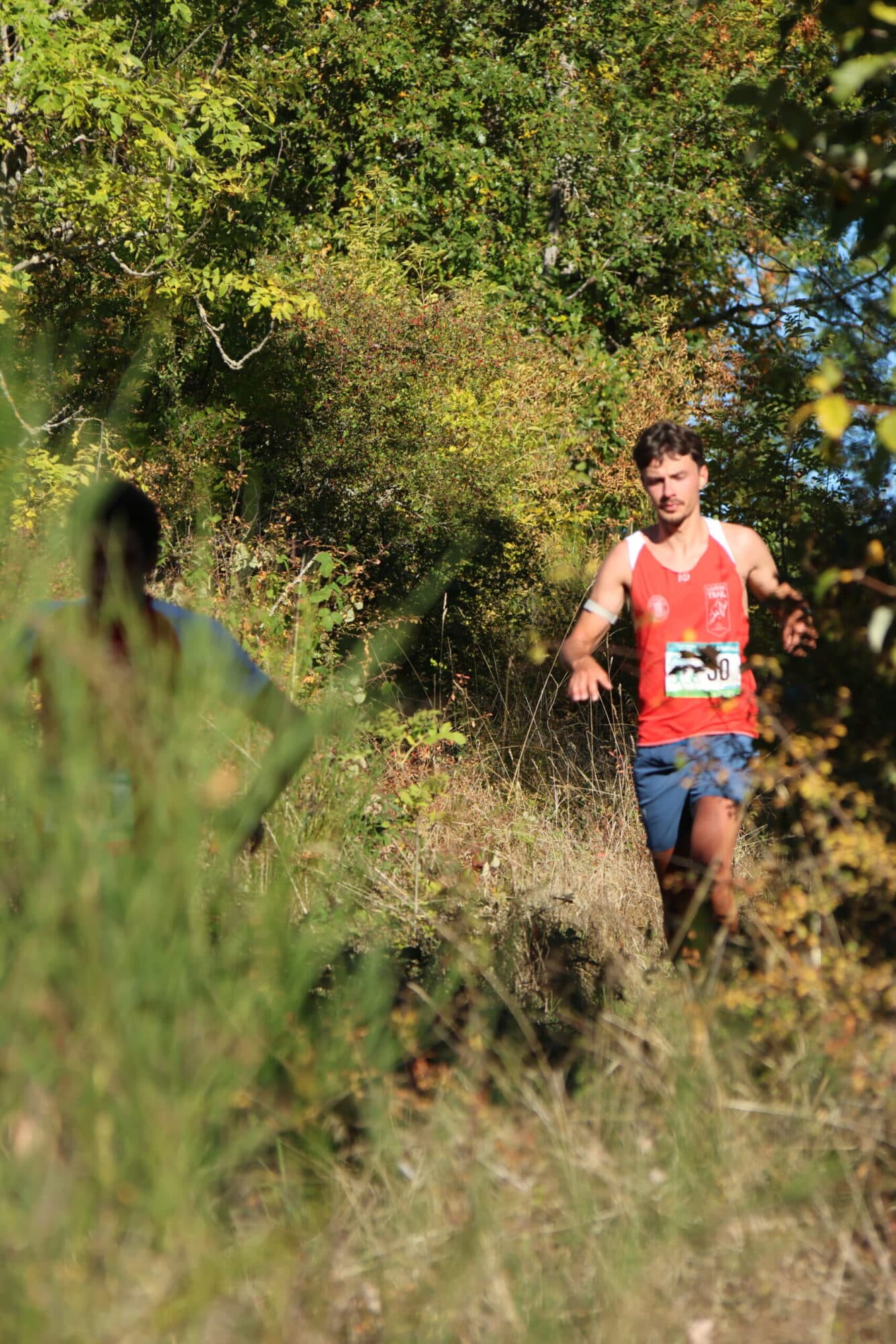 Duo du bois joli - image 2