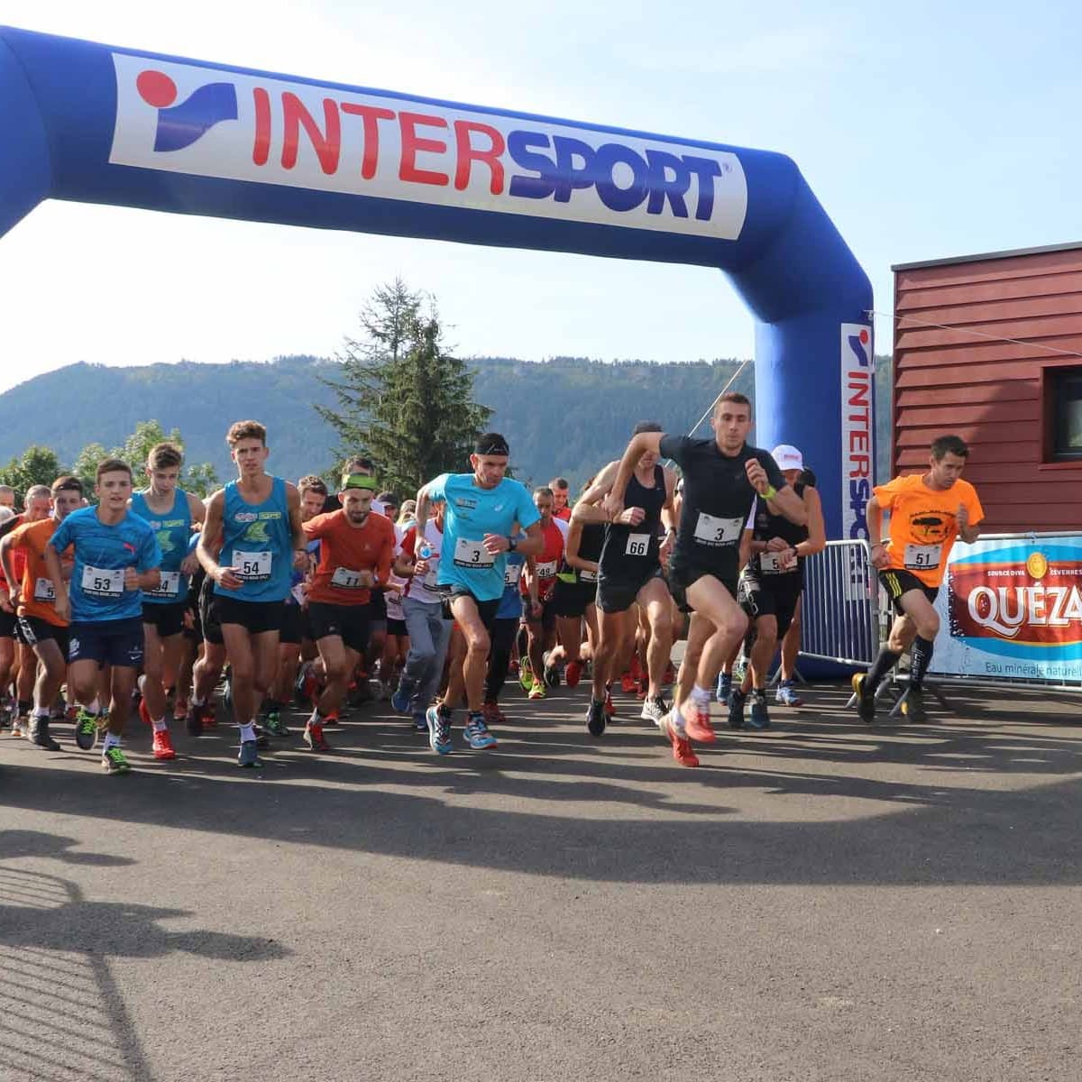 Duo du bois joli - image