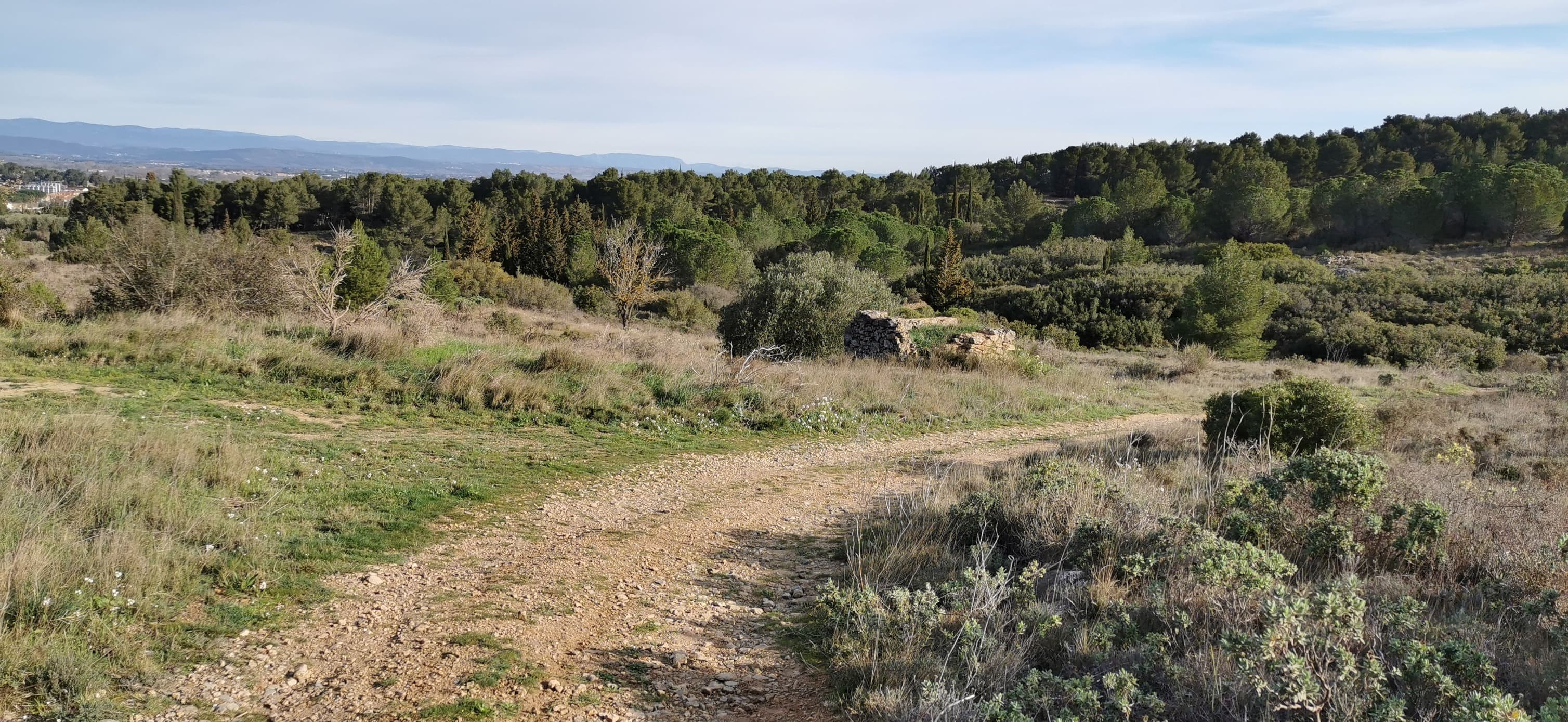 Foulée des éoliennes - image