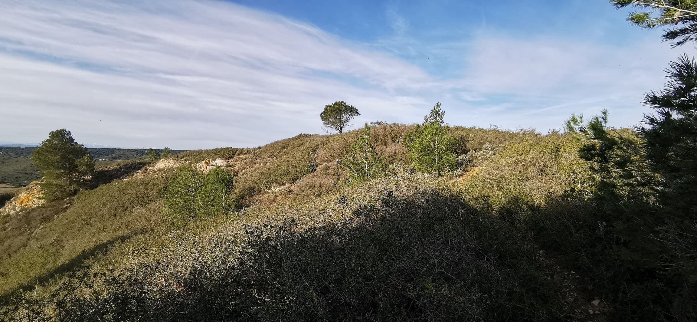 Foulée des éoliennes - image