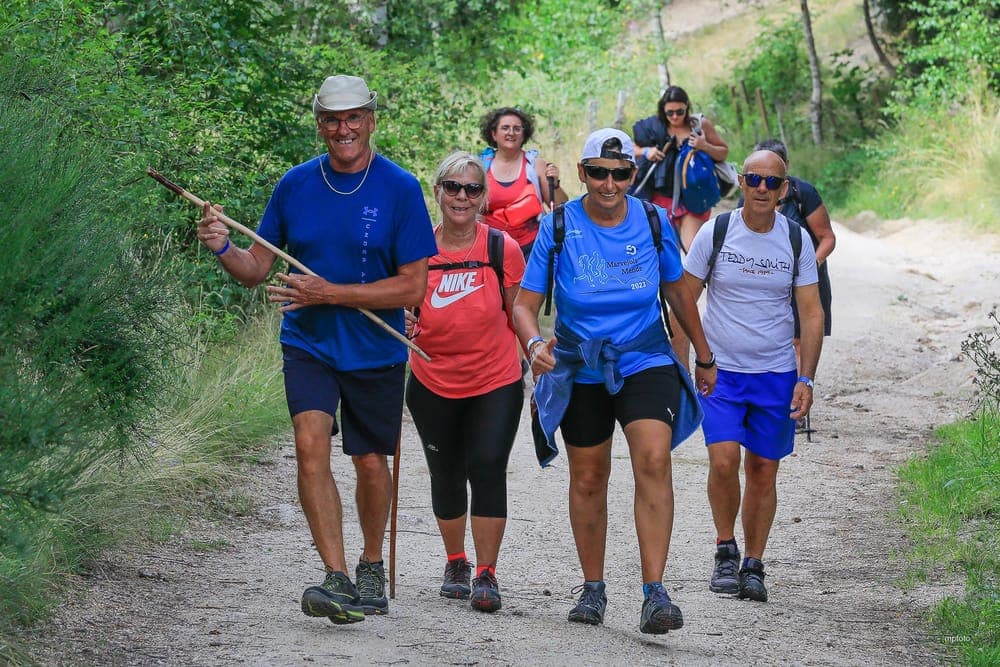 Marche Gourmande - image