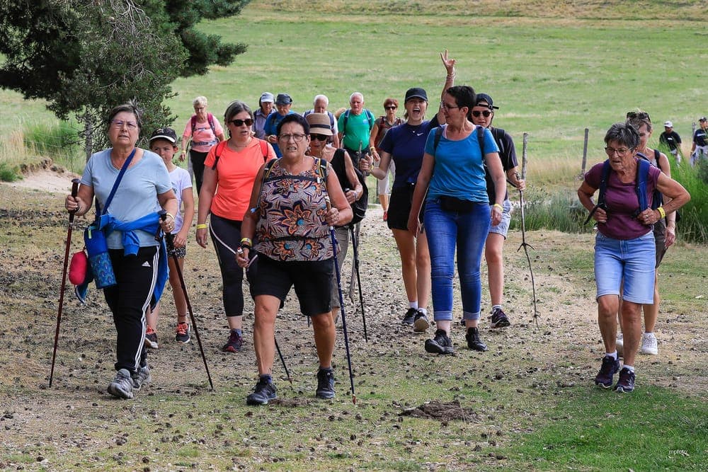 Marche Gourmande - image