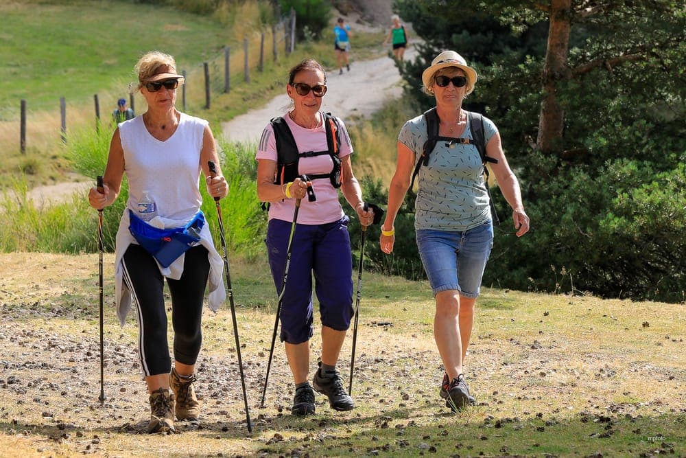 Marche Gourmande - image