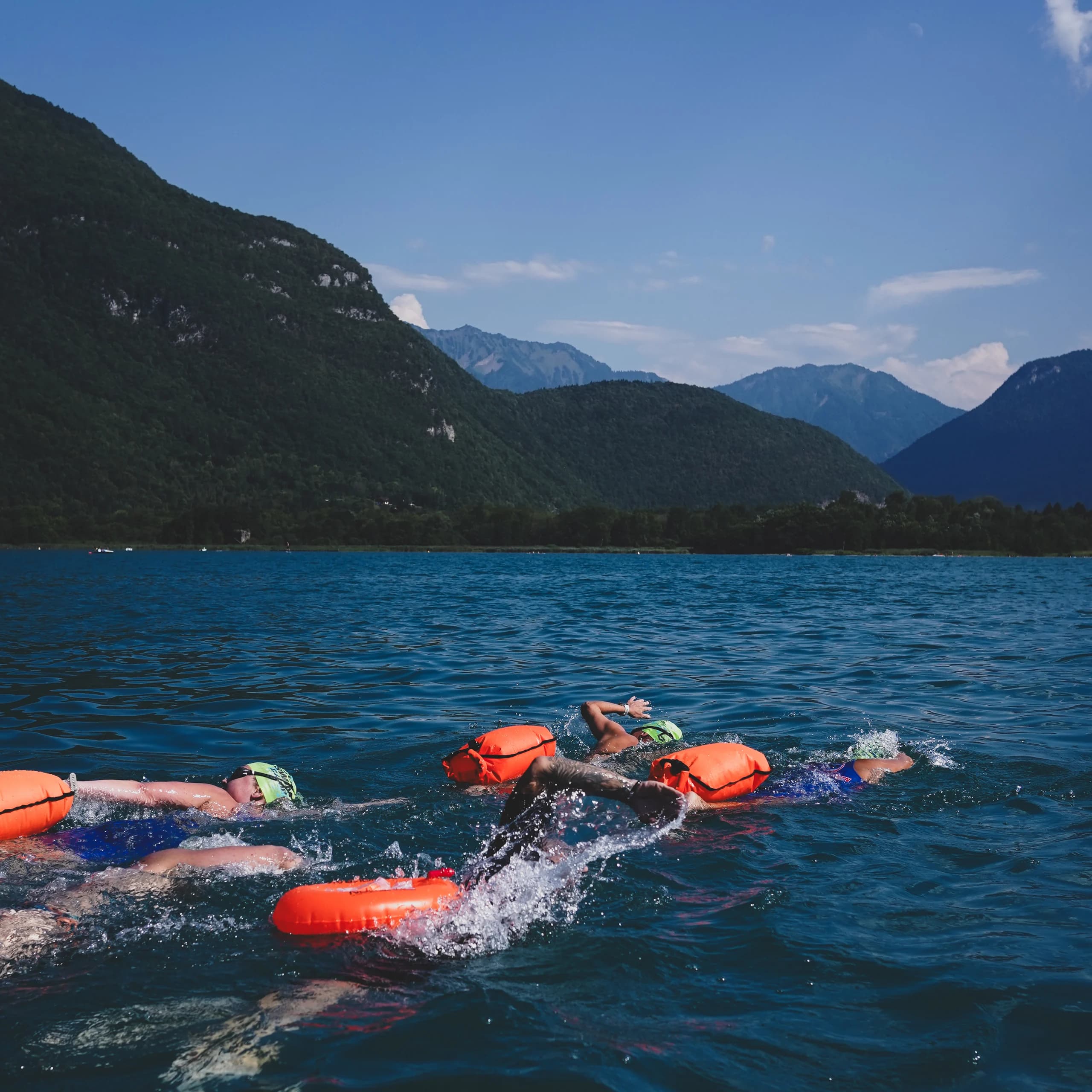 Stage entrainement eau libre et triathlon - Aix les Bains - image