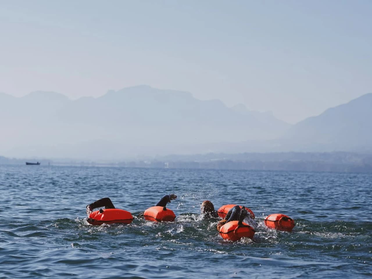 Stage entrainement eau libre et triathlon - Aix les Bains - image