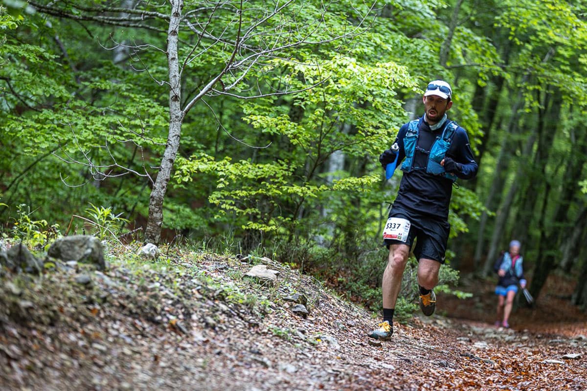 THP - Trail de Haute Provence - image