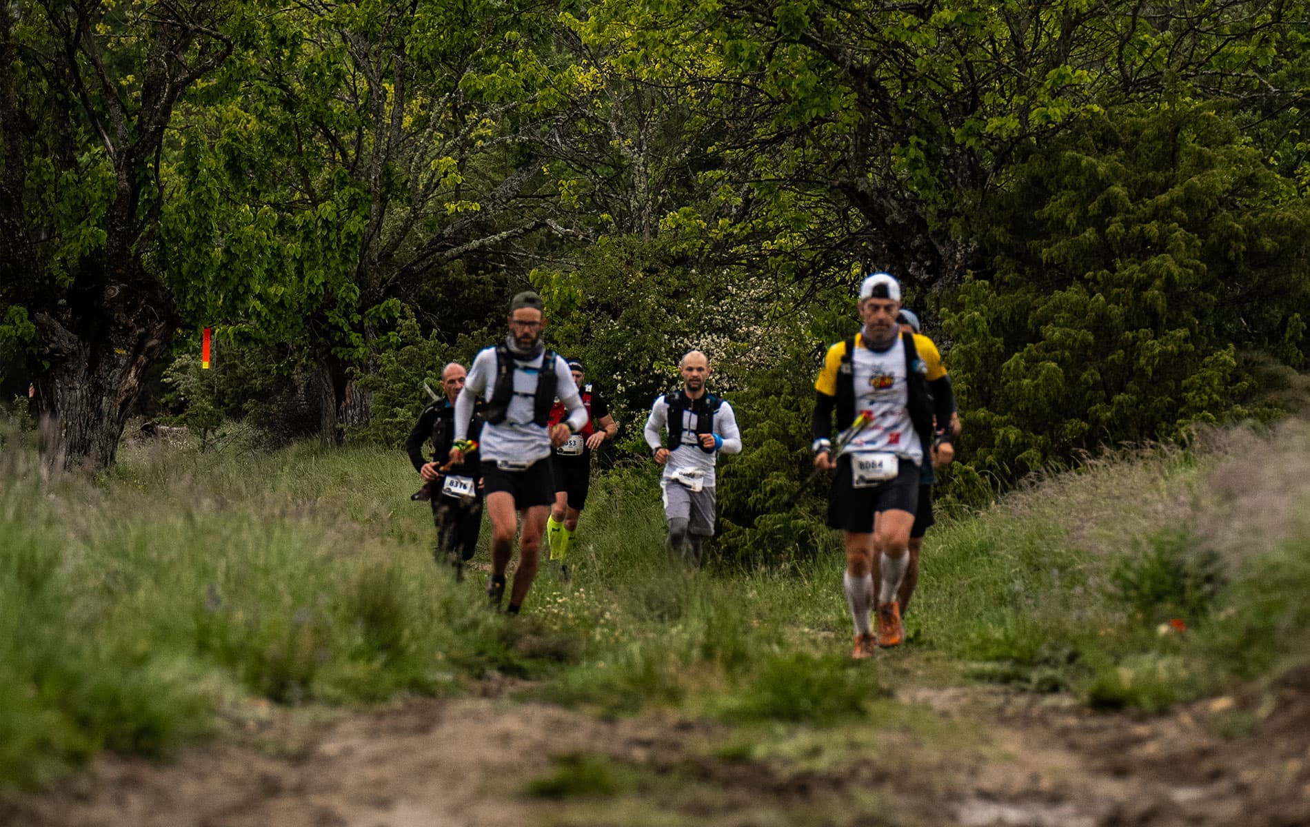 THP - Trail de Haute Provence - image