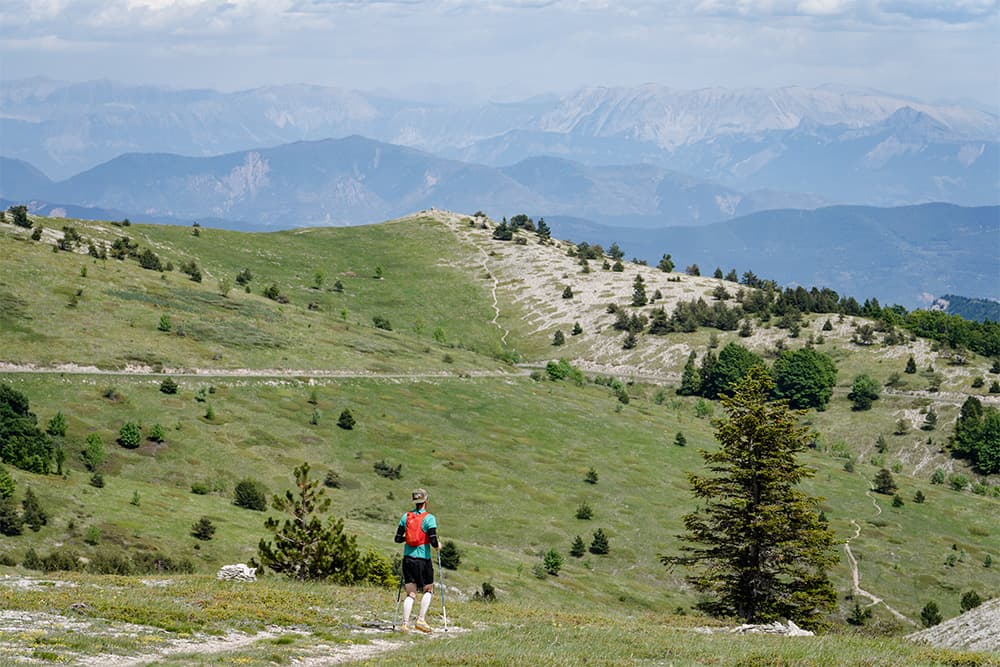 THP - Trail de Haute Provence - image