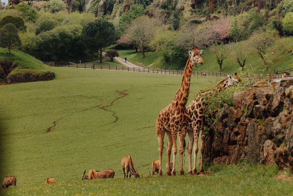 Race Across Spain - image