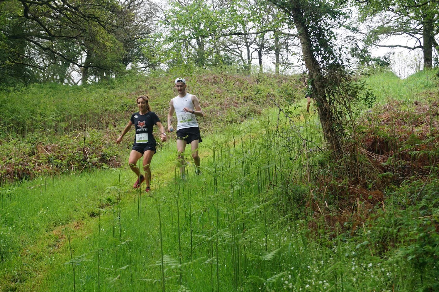 Trail et fines herbes - image
