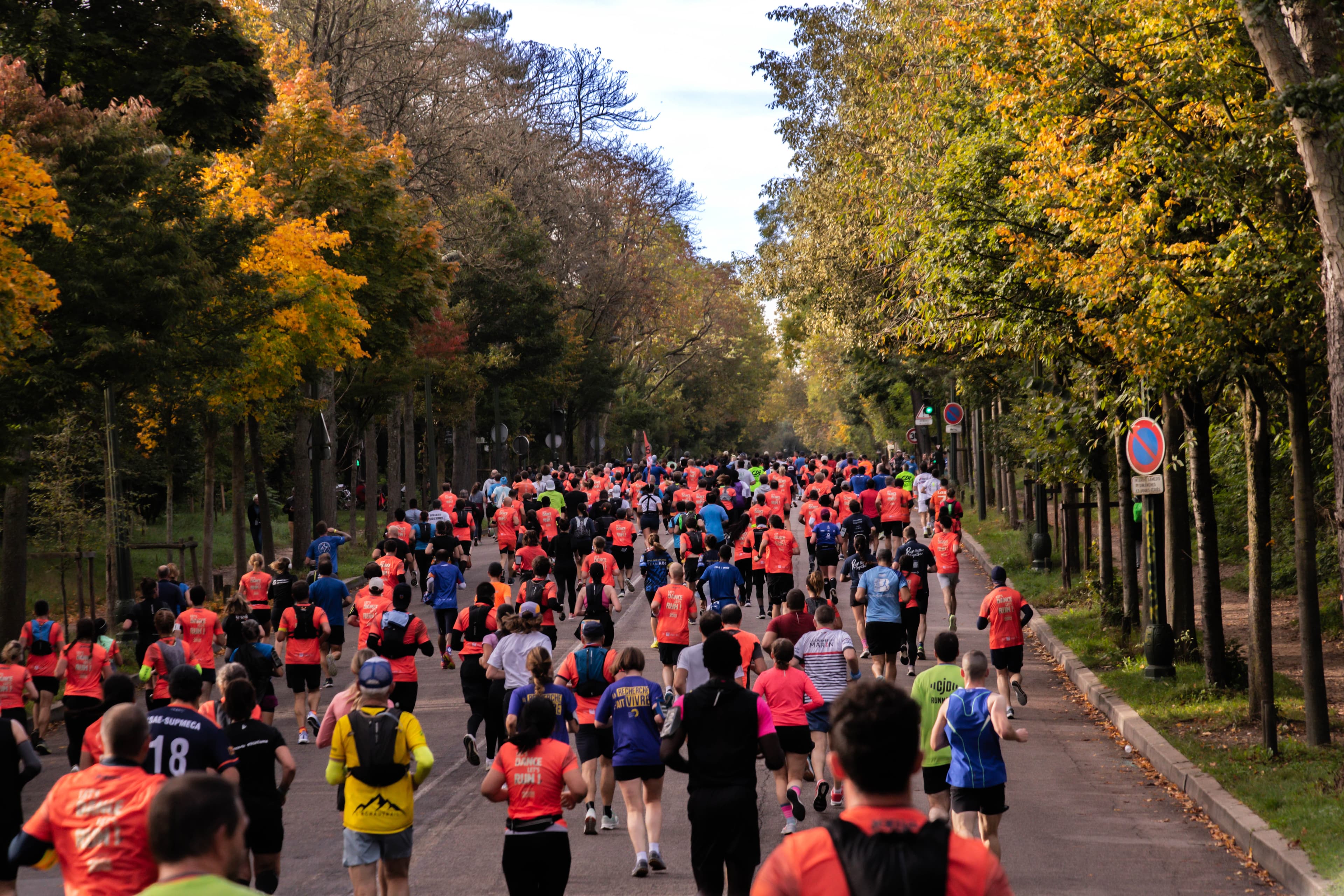 Les foulées de Miles - image