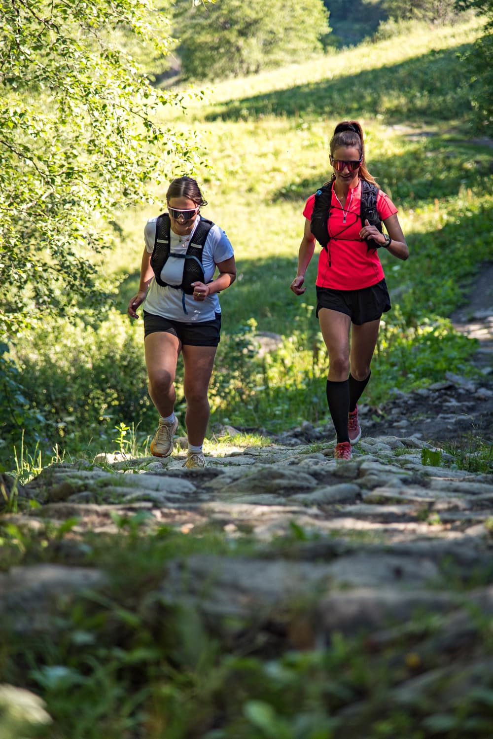 Valmeinier Run and Ski - image