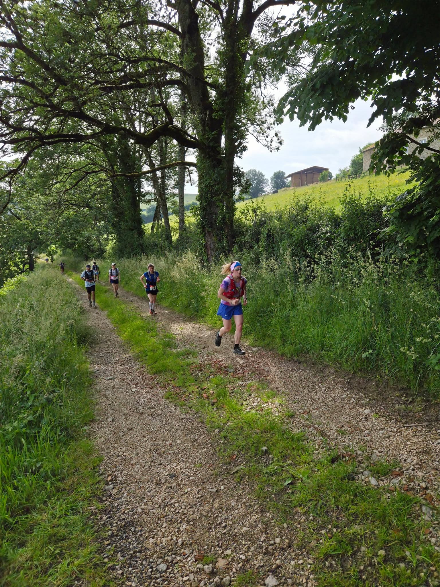 Trail de la Bergère - image
