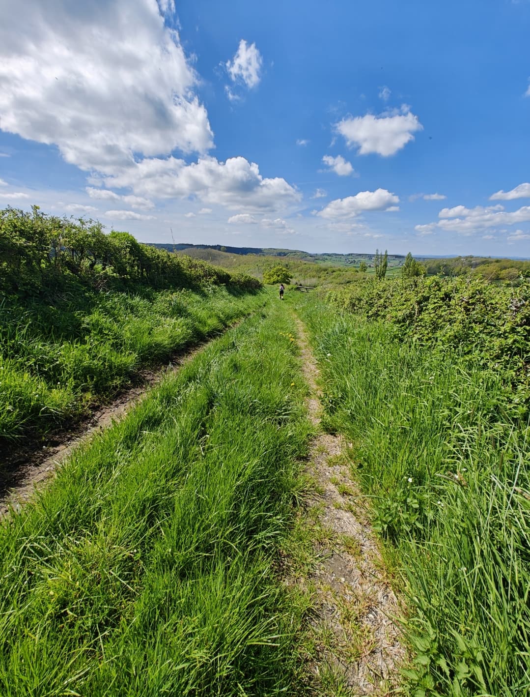 Trail de la Bergère - image