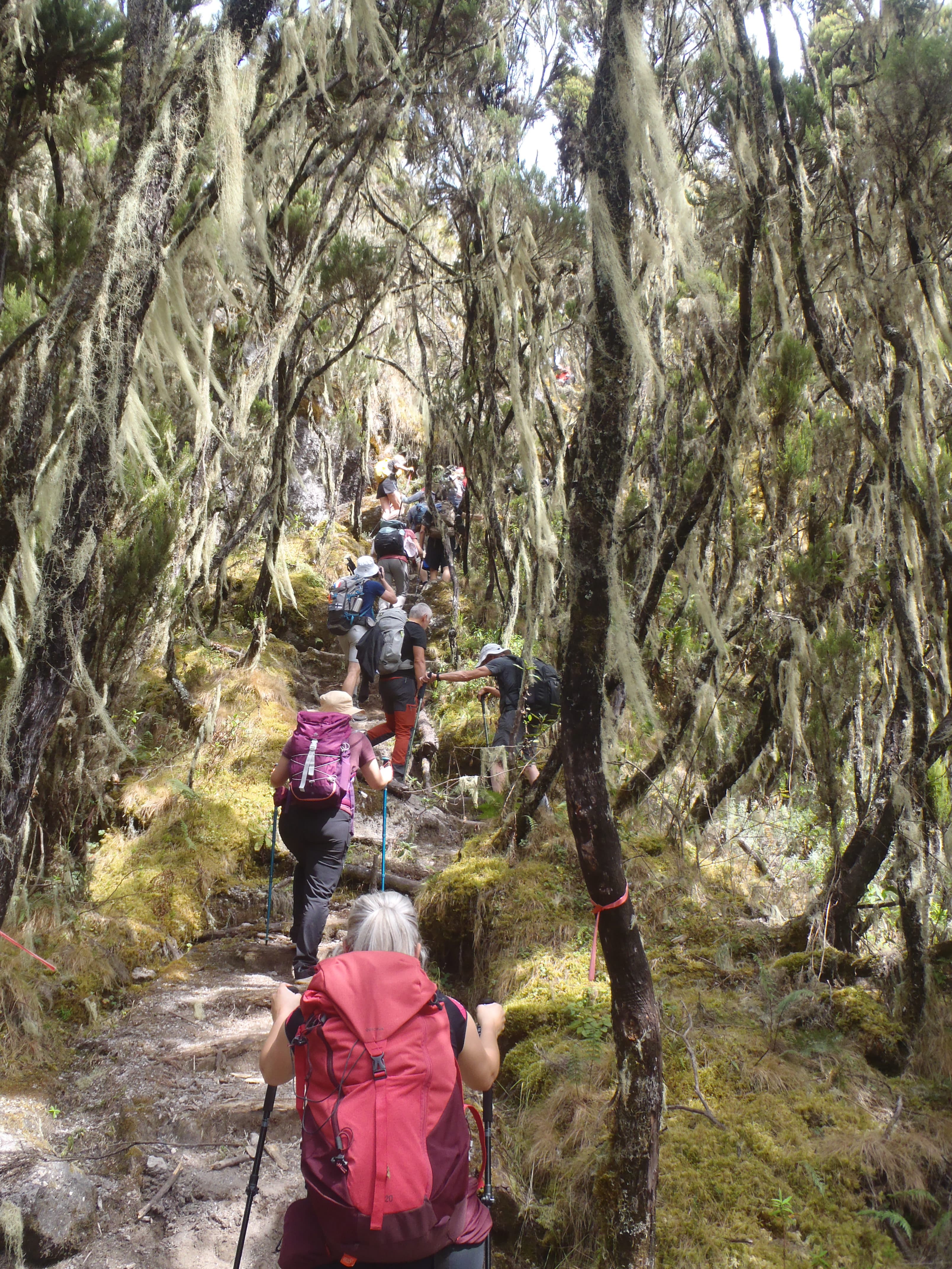 LE KILI by Cap'Orn - image