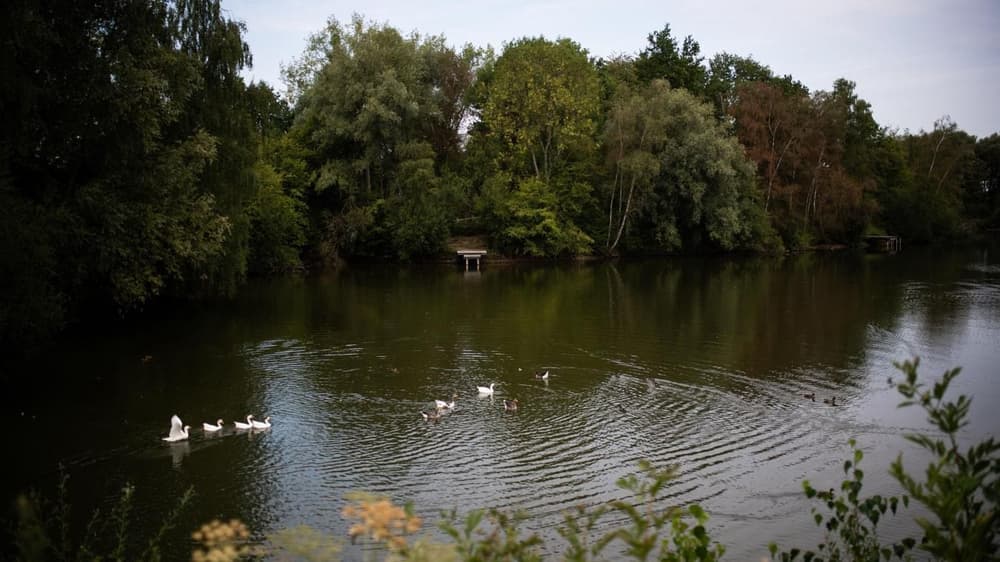 Les Foulées vertes de Mérignies - image
