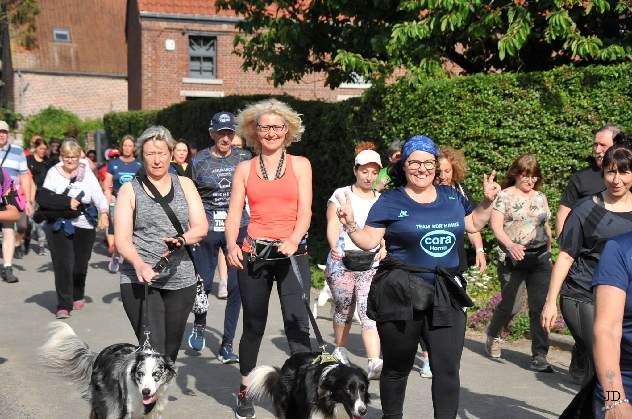 Foulées des Aulnes - image