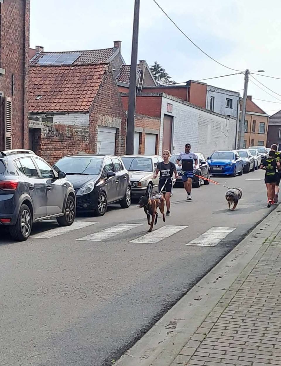 Jogging de Wihéries - image