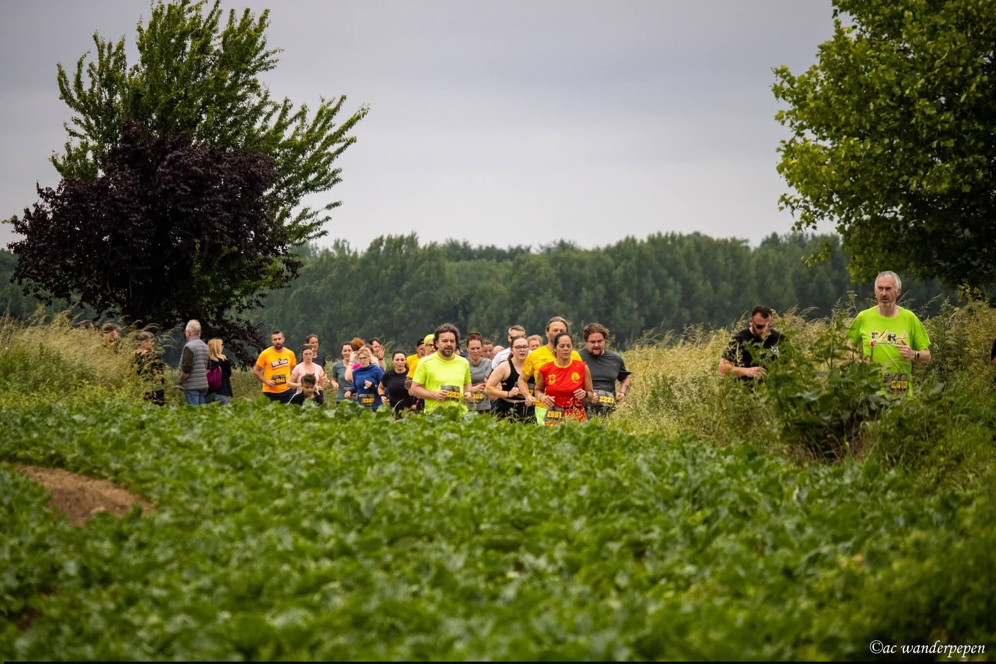 La Quévysienne - image 1