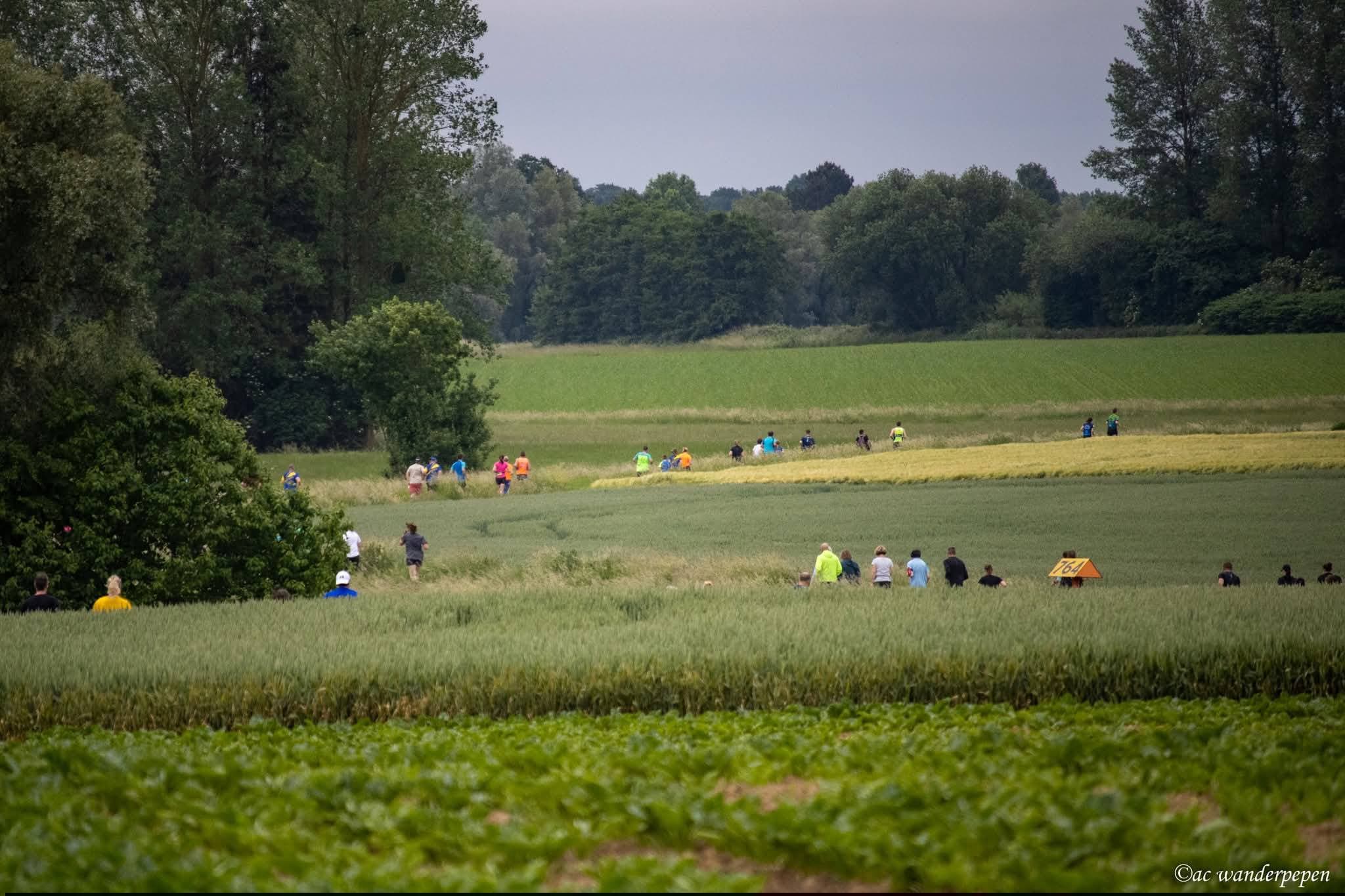La Quévysienne - image 4