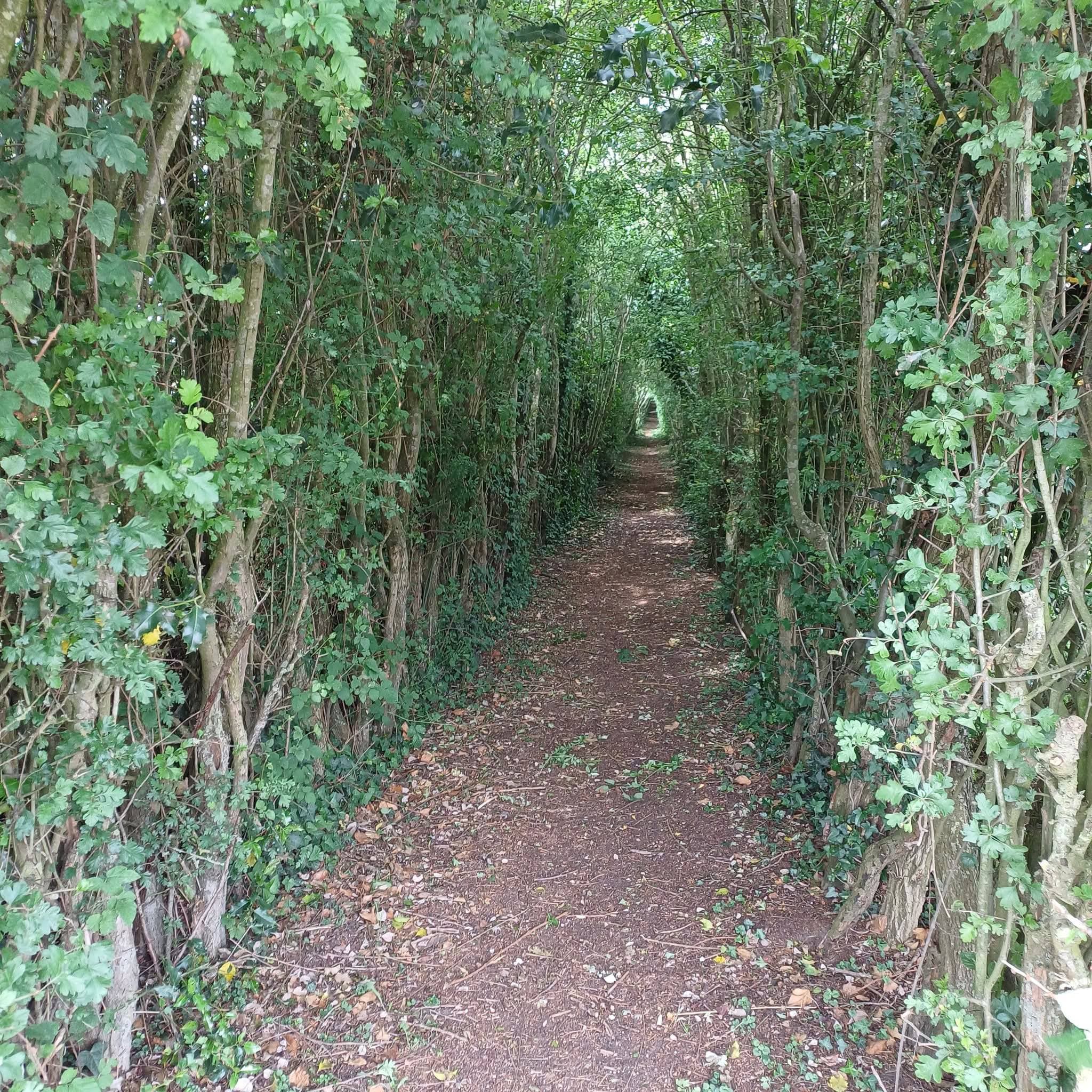 La Quévysienne - image 5